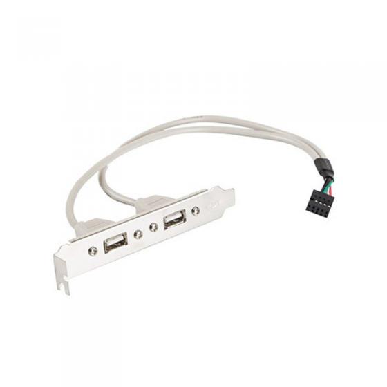 ADAPTADOR 2X USB PARA CONECTAR A PLACA BASE LANBERG BR-0005-S - CABLE 30CM - Imagen 1